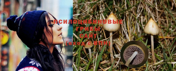 ГАЛЛЮЦИНОГЕННЫЕ ГРИБЫ Алзамай