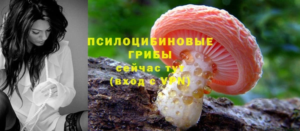 прущие грибы Россошь
