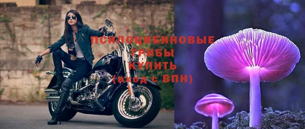 ГАЛЛЮЦИНОГЕННЫЕ ГРИБЫ Алзамай