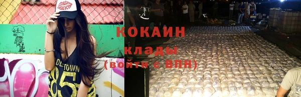 ГАЛЛЮЦИНОГЕННЫЕ ГРИБЫ Алзамай