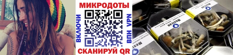 Галлюциногенные грибы GOLDEN TEACHER  хочу наркоту  Талдом 